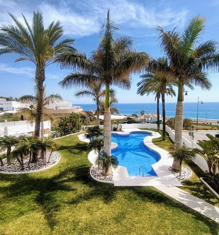 Großer Swimmingpool mit Palmen und Blick auf das Meer der Wohnanlage in Torrox