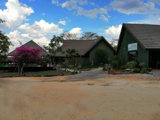 Auf Safari im Sabi Sand Reserevat - Nkorho Bush Lodge